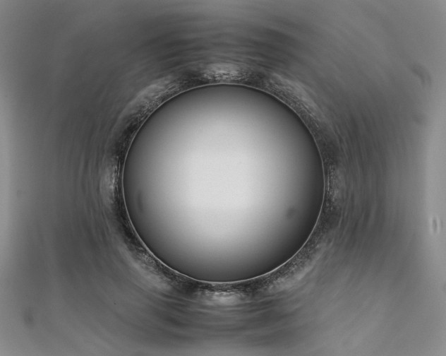 X0000112110645200908041542