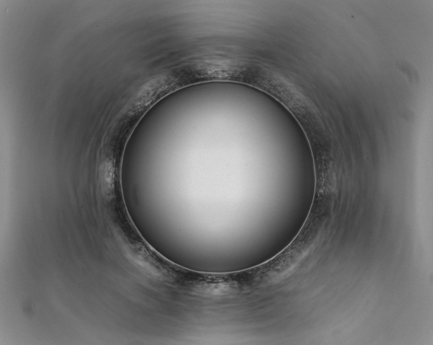 X0000112110646200908041542