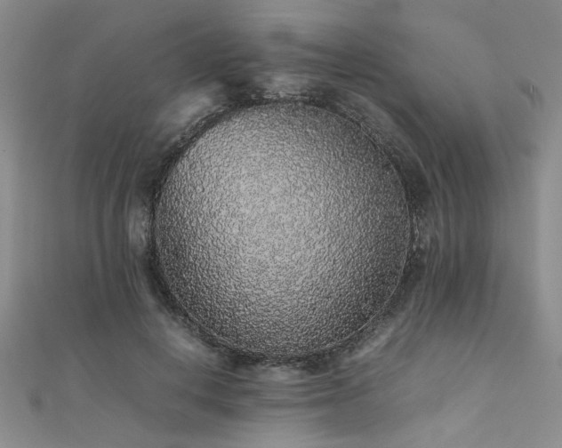 X0000112110648200908041542