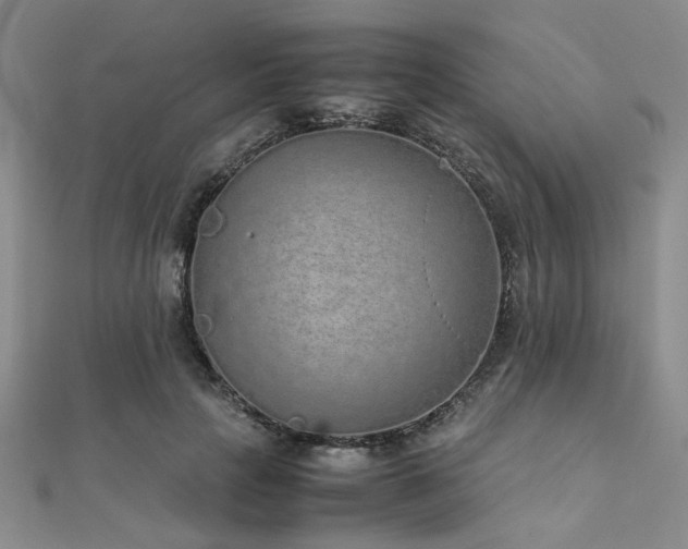 X0000112110649200908041542