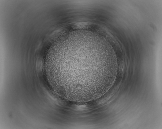 X0000112110651200908041542