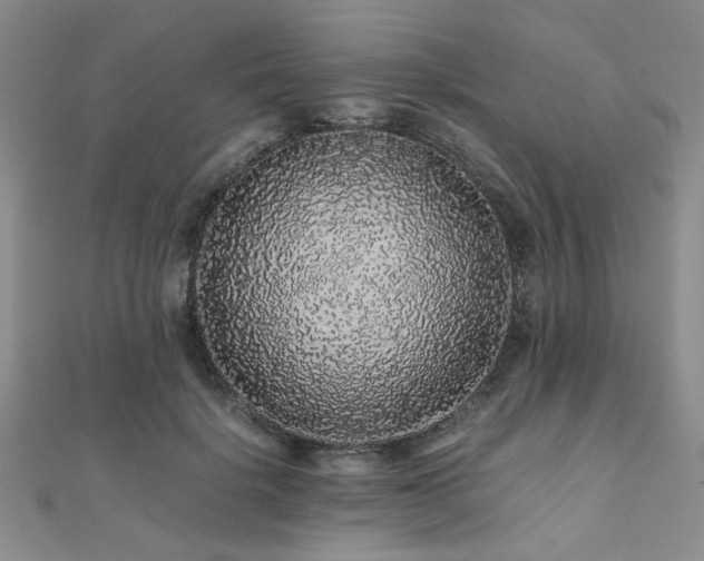 X0000112110652200908041542