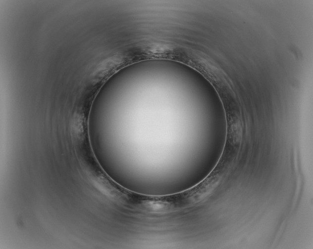 X0000112110654200908041542