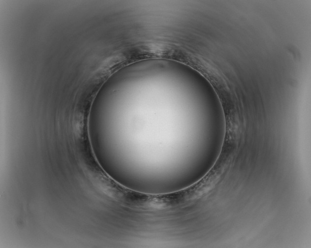 X0000112110656200908041542