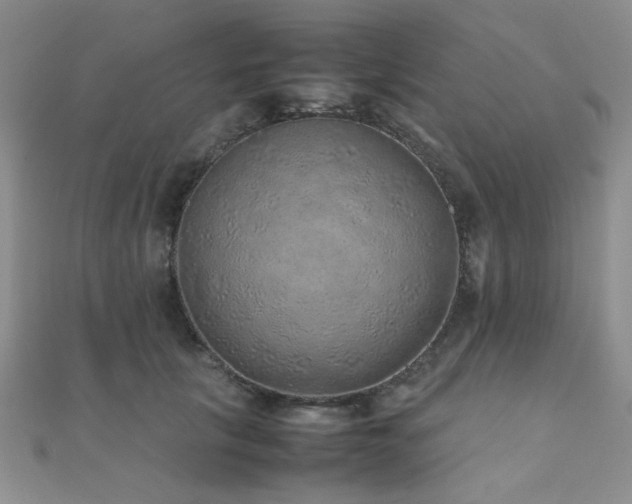 X0000112110657200908041542