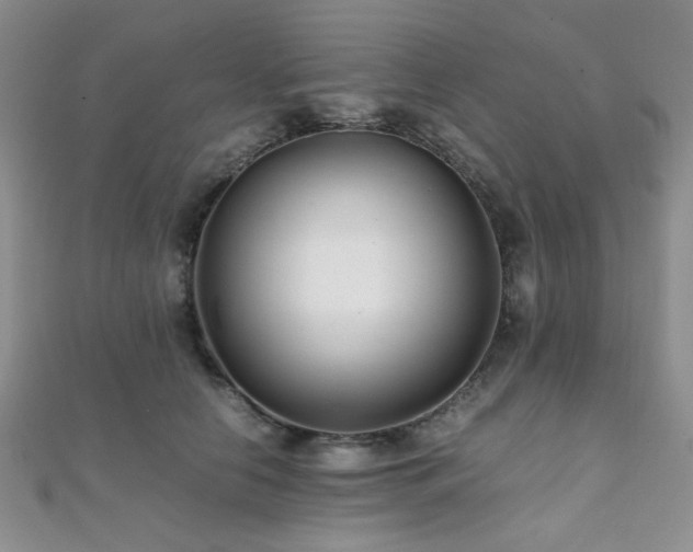 X0000112110658200908041542