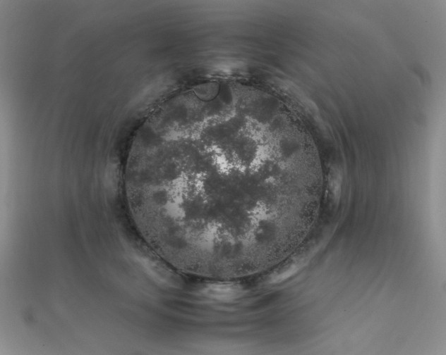 X0000112110659200908041542