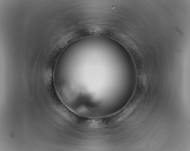 X0000112110660200908041542