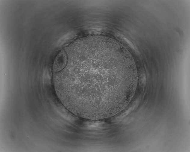 X0000112110661200908041542