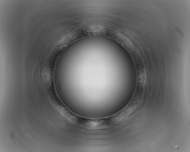 X0000112110662200908041542