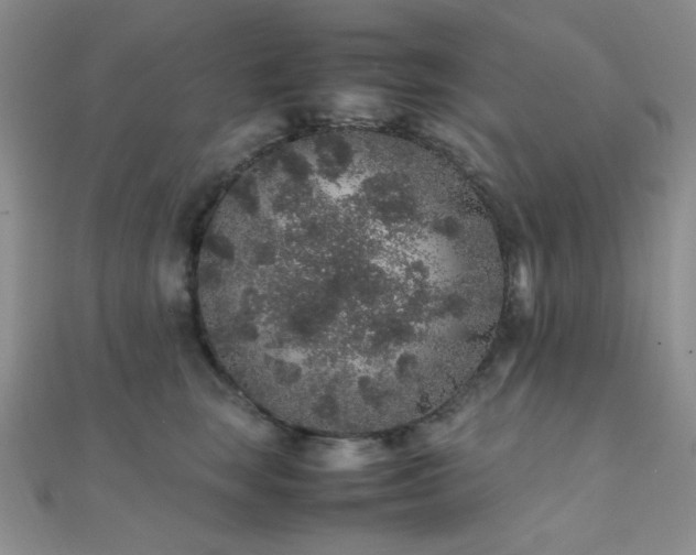 X0000112110663200908041542