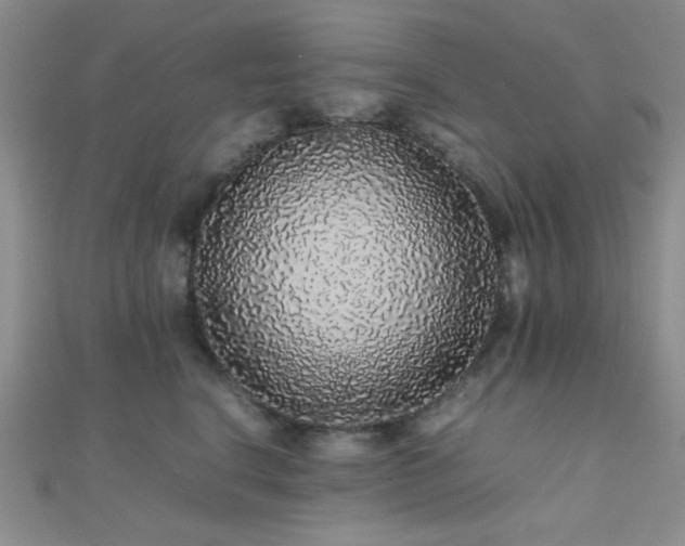 X0000112110664200908041542