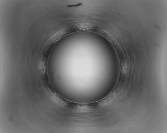 X0000112110666200908041542