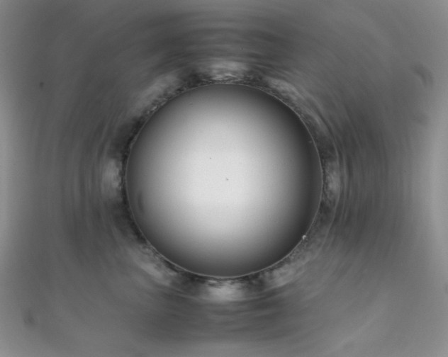 X0000112110667200908041542