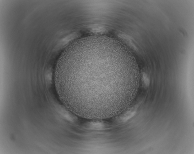 X0000112110668200908041542