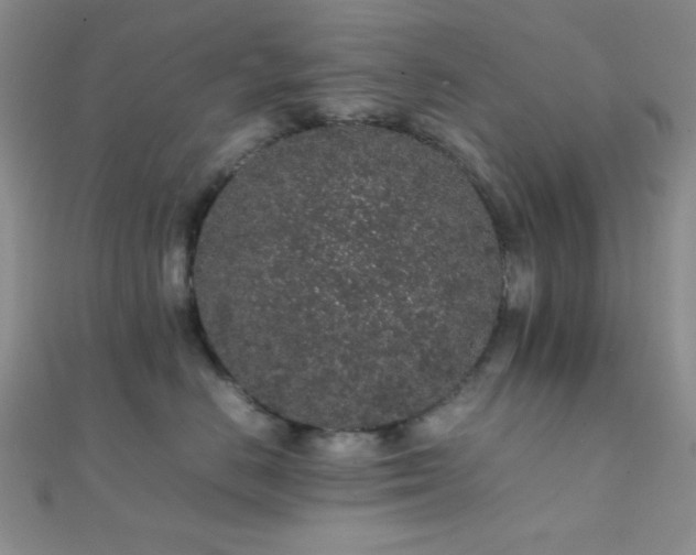 X0000112110670200908041542