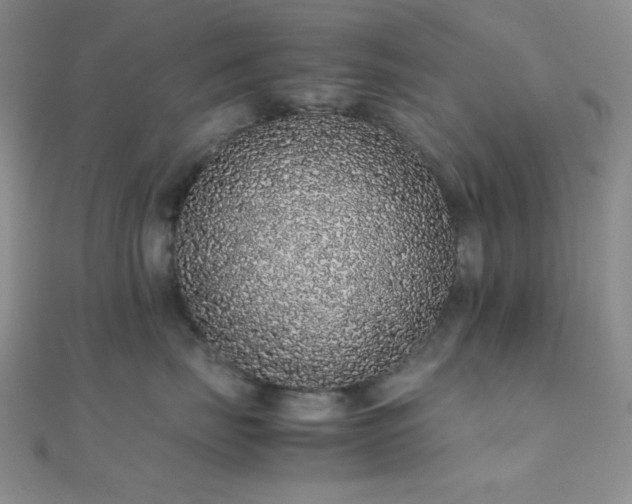 X0000112110671200908041542