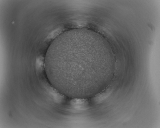 X0000112110672200908041542