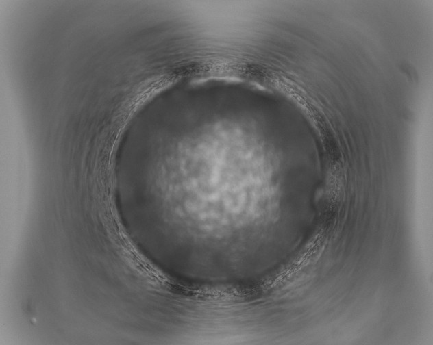 X0000112110673200908041542