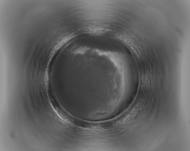 X0000112110674200908041542