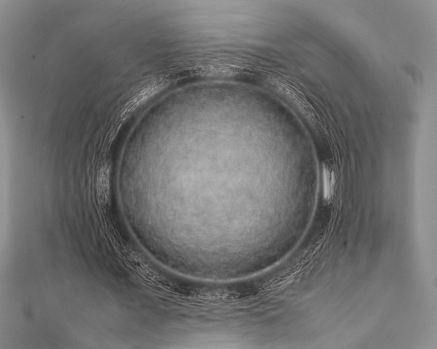 X0000112110675200908041542