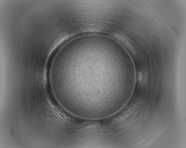 X0000112110676200908041542