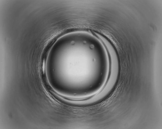 X0000112110677200908041542