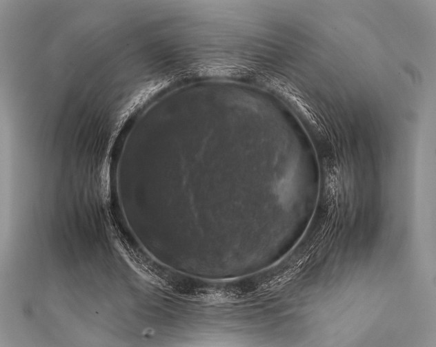 X0000112110678200908041542