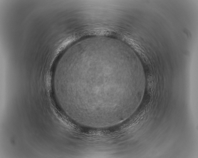 X0000112110679200908041542