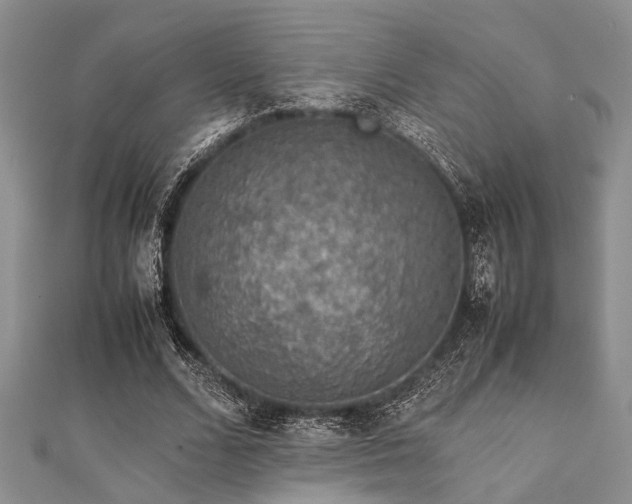 X0000112110680200908041542