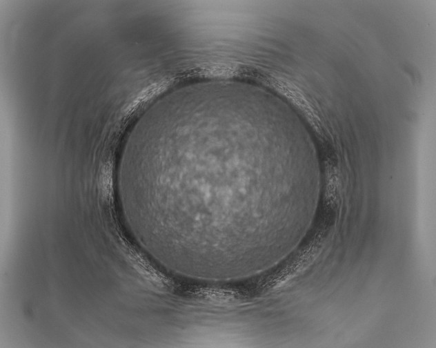 X0000112110681200908041542