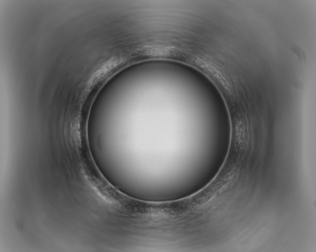 X0000112110682200908041542