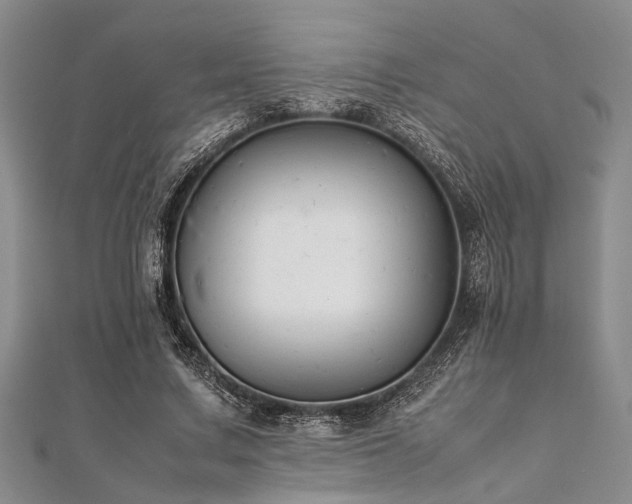 X0000112110683200908041542