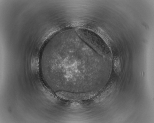 X0000112110684200908041542