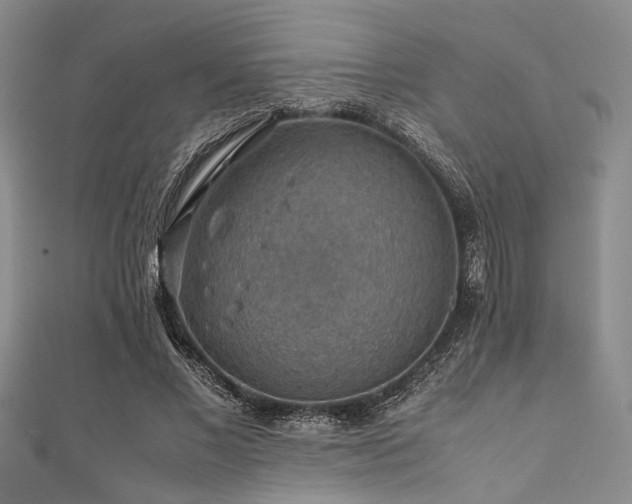 X0000112110685200908041542