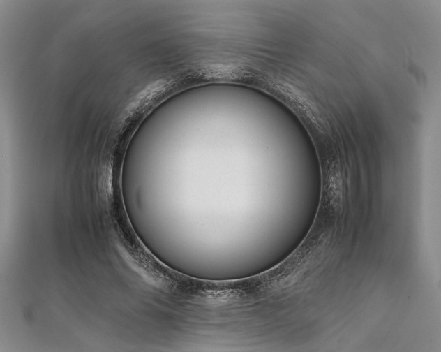 X0000112110686200908041541