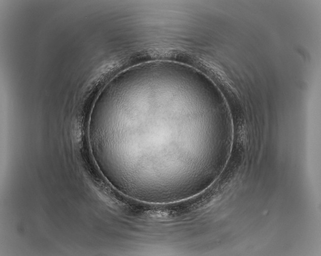 X0000112110687200908041541