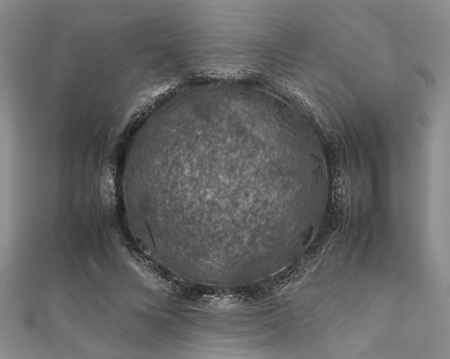 X0000112110688200908041541