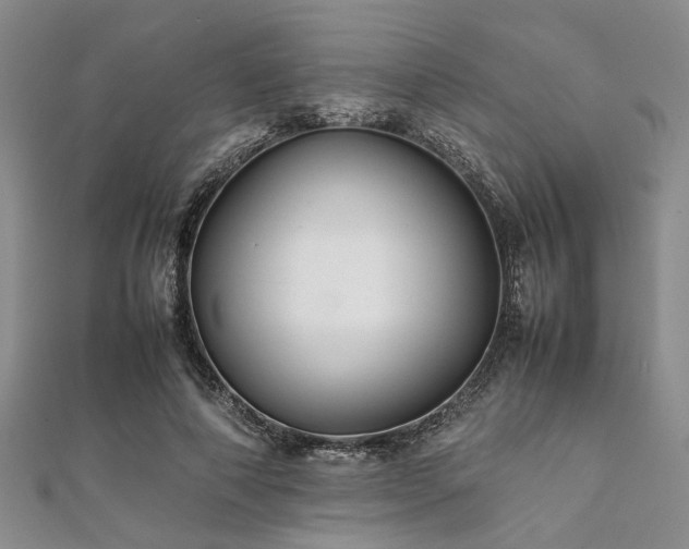 X0000112110690200908041541