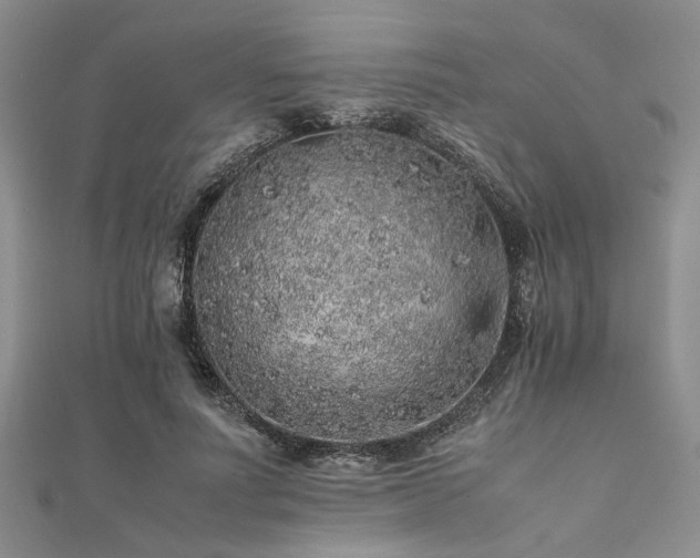 X0000112110691200908041541