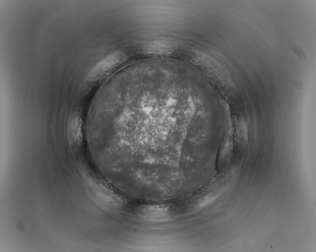 X0000112110692200908041541