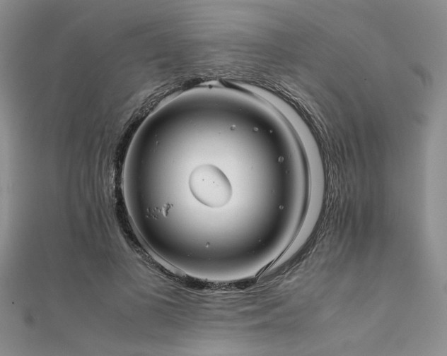 X0000112110693200908041541