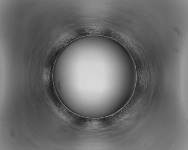 X0000112110695200908041541