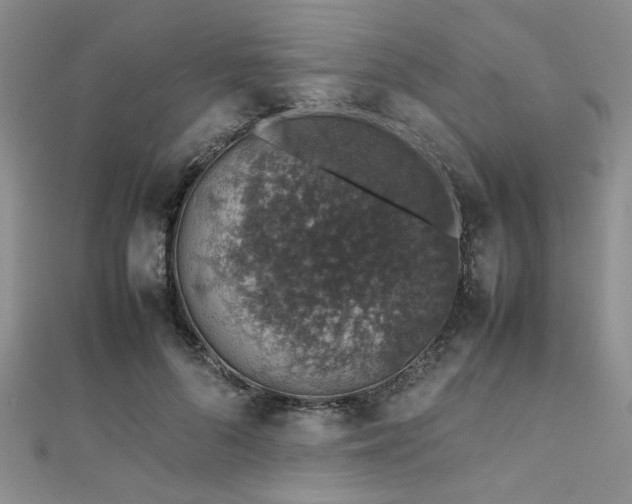 X0000112110696200908041541