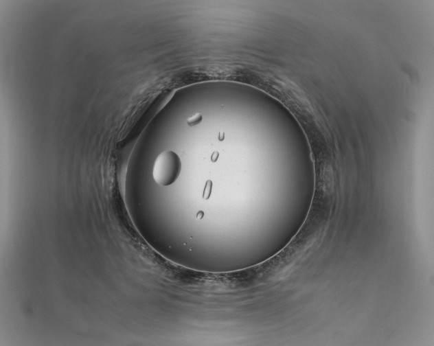 X0000112110697200908041541