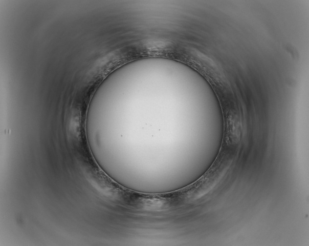 X0000112110698200908041541