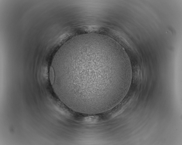 X0000112110700200908041541