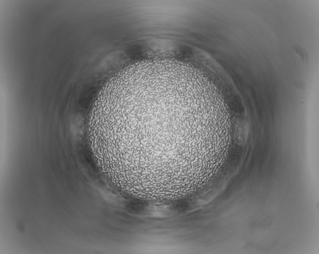 X0000112110701200908041541