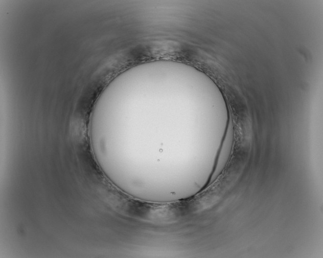 X0000112110705200908041541