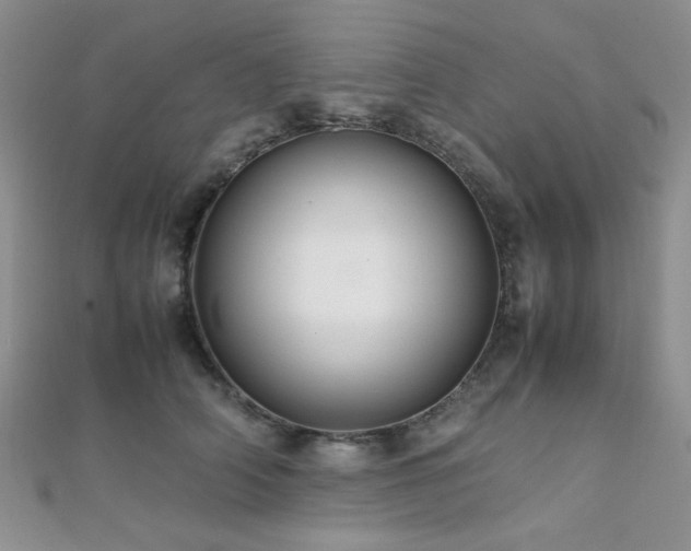 X0000112110706200908041541